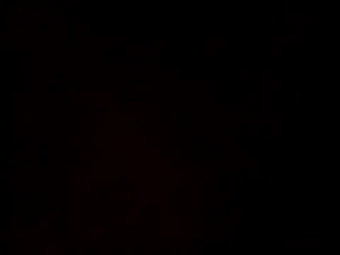 linksjack1010 online show from 02.24.25