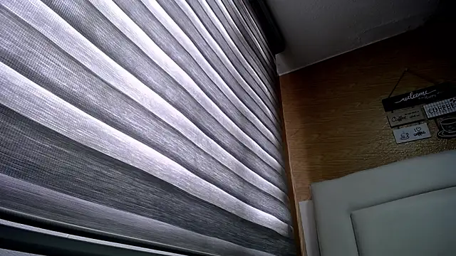 Snapshot of palmer_mIix chatting on 12.02.24 palmer mIix online show from 12.02.24