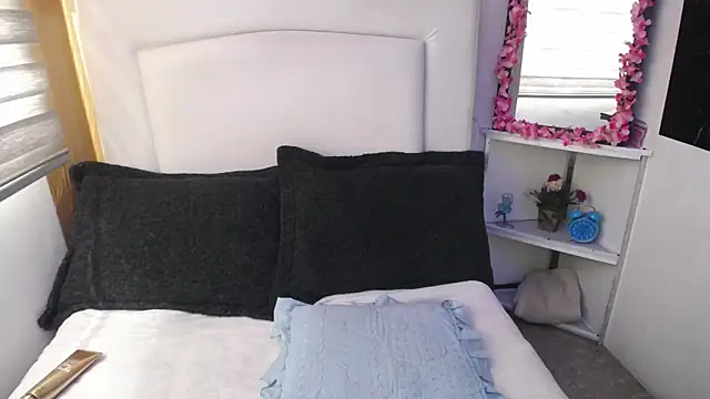 Snapshot of palmer_mIix chatting on 12.26.24 palmer mIix online show from 12.26.24