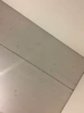 bonbonaumiel online show from 01.14.25