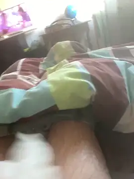 solomec online show from 03.09.25