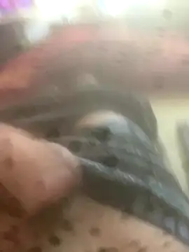 solomec online show from 10.12.25