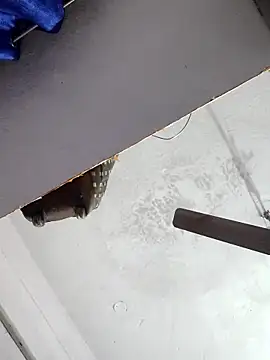 sana14 online show from 12.17.25