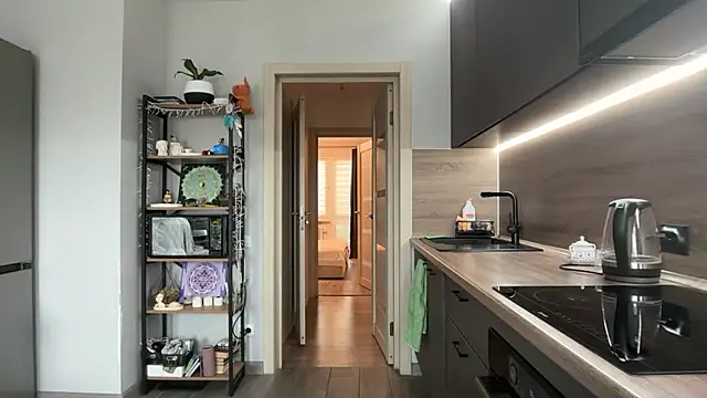 jainesummer online show from 11.11.25