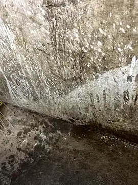 tamil000000 online show from 01.12.26