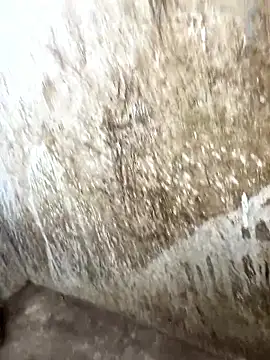 tamil000000 online show from 01.17.26