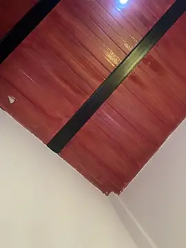 Snapshot of Cassie-millers chatting on 12.20.24 Cassie-millers online show from 12.20.24