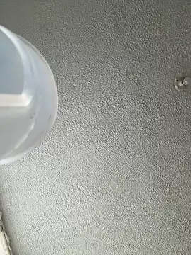 ariiel  online show from 01.14.26