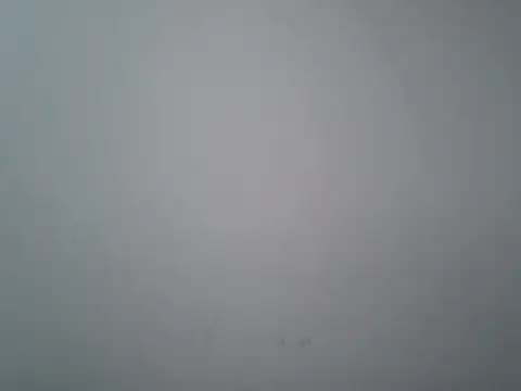 lovedoggy03 online show from 01.12.26