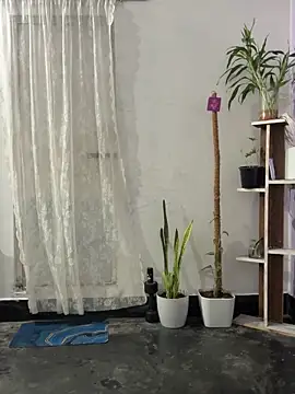 mikemacluffy online show from 09.25.25