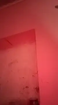 sosarax online show from 01.30.25