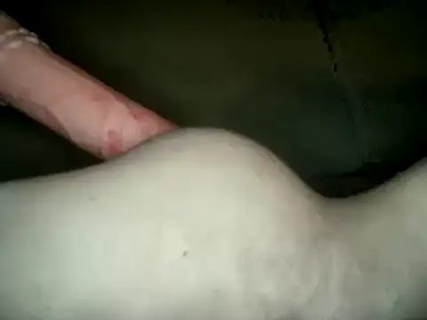 UnaDiosa online show from 12.24.24