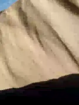 CptDickX258 online show from 01.12.25