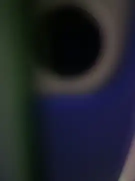 Snapshot of rodrigo21Cm_ chatting on 02.14.25 rodrigo21Cm online show from 02.14.25