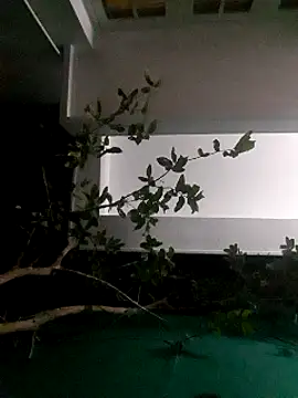 Jhon837486 online show from 12.29.24