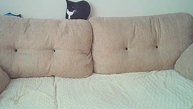 Snapshot of Ostin_meow chatting on 12.26.24 Ostin meow online show from 12.26.24