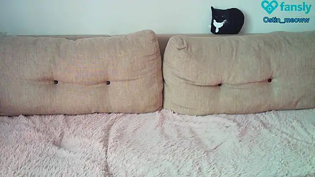 Snapshot of Ostin_meow chatting on 02.22.25 Ostin meow online show from 02.22.25