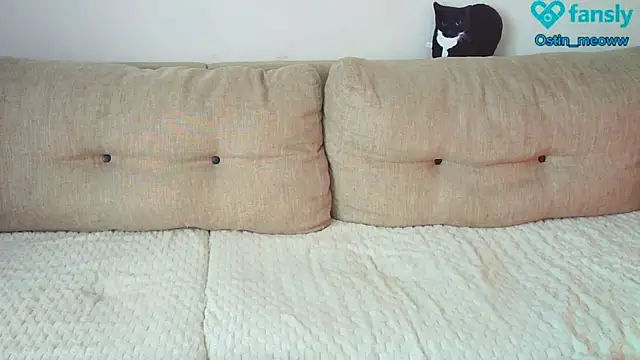 Snapshot of Ostin_meow chatting on 02.25.25 Ostin meow online show from 02.25.25
