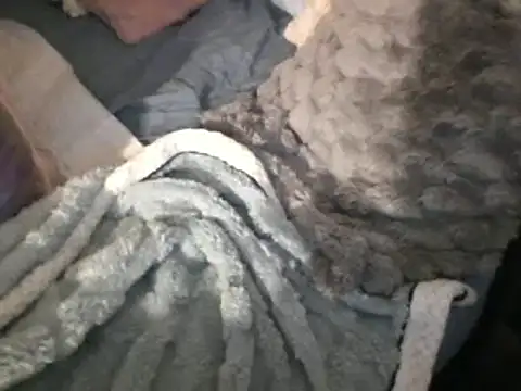 housewife shantie online show from 03.15.25