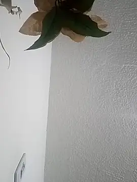 Naomy veracruz  online show from 04.12.26