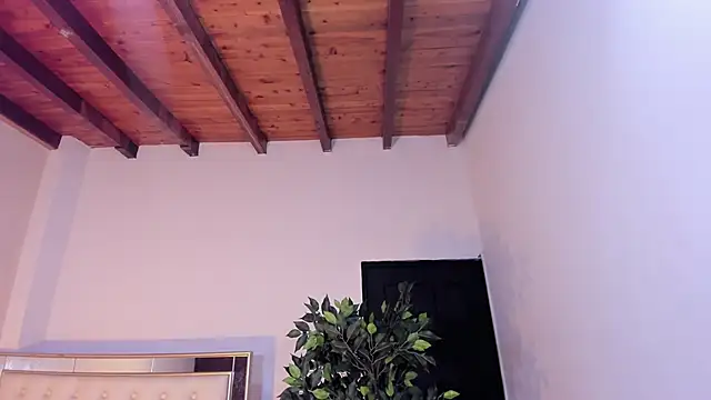 Snapshot of im_sebaslopez chatting on 01.17.26 im sebaslopez online show from 01.17.26