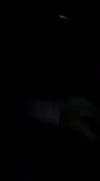 Eva Florence online show from 02.19.25