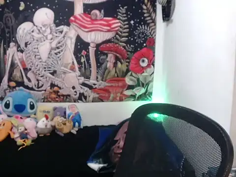 hachi kitty online show from 04.03.26