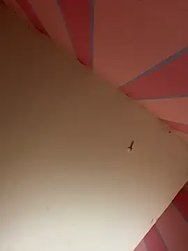 Snapshot of mikeJak chatting on 03.23.25 mikeJak online show from 03.23.25