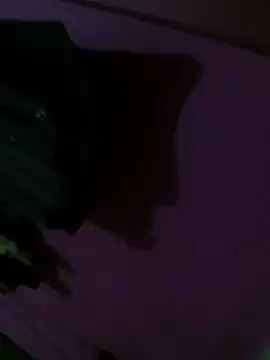 Mastar212 online show from 12.02.25