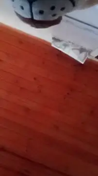 Darly Gomez online show from 12.31.24