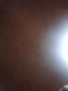 Darly Gomez online show from 03.04.25