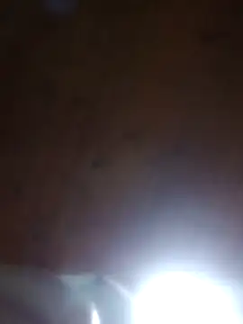 Darly Gomez online show from 03.23.25