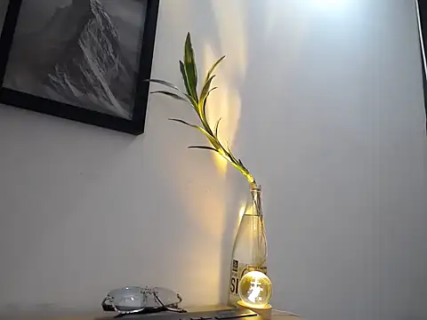 Snapshot of aria_jhonsson chatting on 01.10.26 aria jhonsson online show from 01.10.26