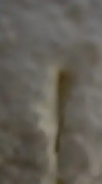 tuty Tap online show from 12.07.24