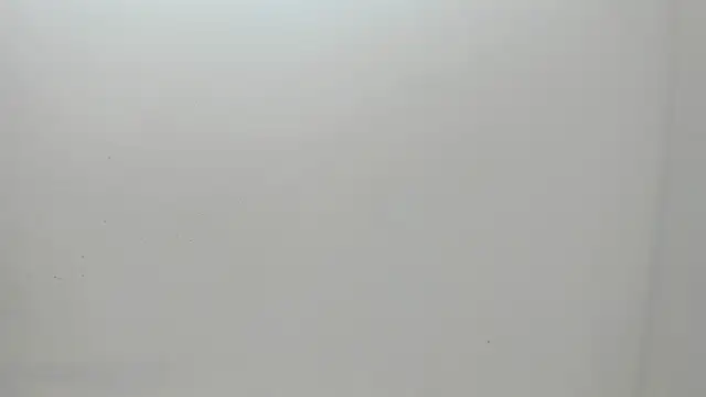 Flynn Riider online show from 03.01.25