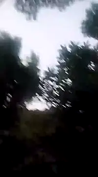 Danna-linyi online show from 12.20.24