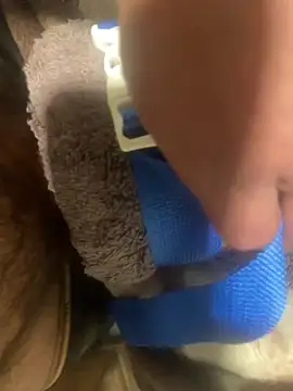 edgher646 online show from 02.11.25