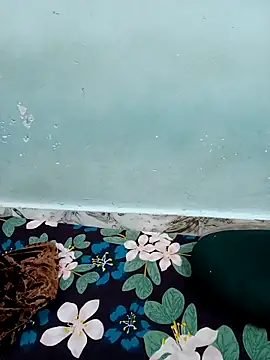 Snapshot of Haniya-143 chatting on 12.15.25 Haniya-143 online show from 12.15.25