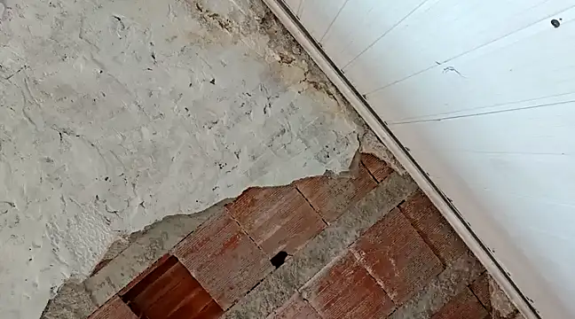 frotasso online show from 01.18.25