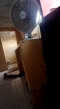 frotasso online show from 03.04.25