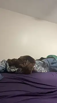 Snapshot of daddymaniaco69 chatting on 12.28.24 daddymaniaco69 online show from 12.28.24