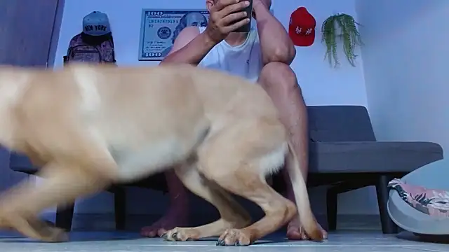 Snapshot of boss_of_cash chatting on 04.02.26 boss of cash online show from 04.02.26