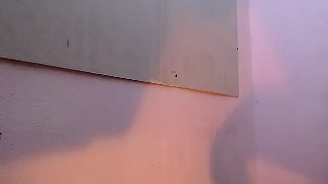 mr stiven  online show from 03.22.25