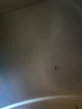 Jiimy2fois online show from 03.06.26