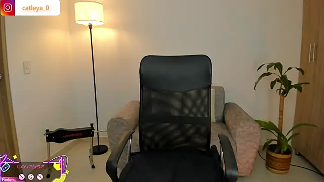 catleya 0 online show from 02.15.26