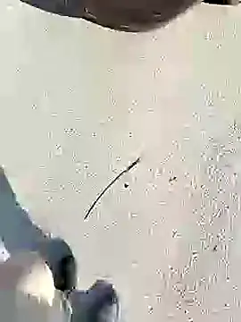 chootkapyasa007 online show from 01.27.25