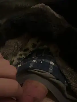 hamoo23p online show from 02.22.26