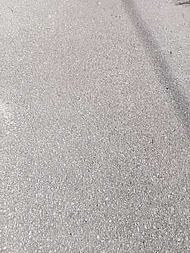 Eleni Pappa online show from 03.11.26