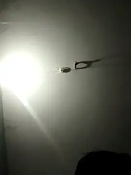 jaydev madhuri online show from 03.19.26