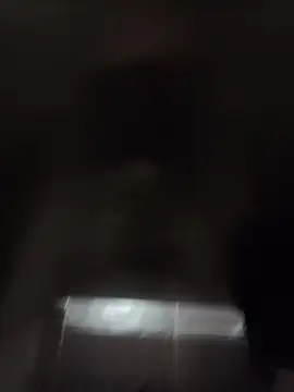 codysmith online show from 10.30.25